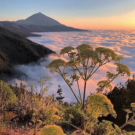 Appartamento Ponderosa Tenerife *