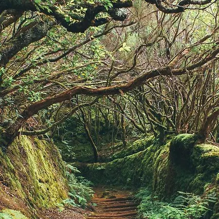 Appartamento Ponderosa Tenerife Playa de las Americas (Tenerife)